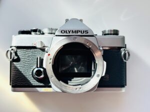 medium format film, 120 wedding photographer Hudson Valley