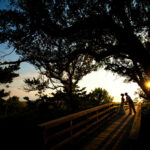 Ghost Crab Hunting in Nags Head Brings Three Generations Together