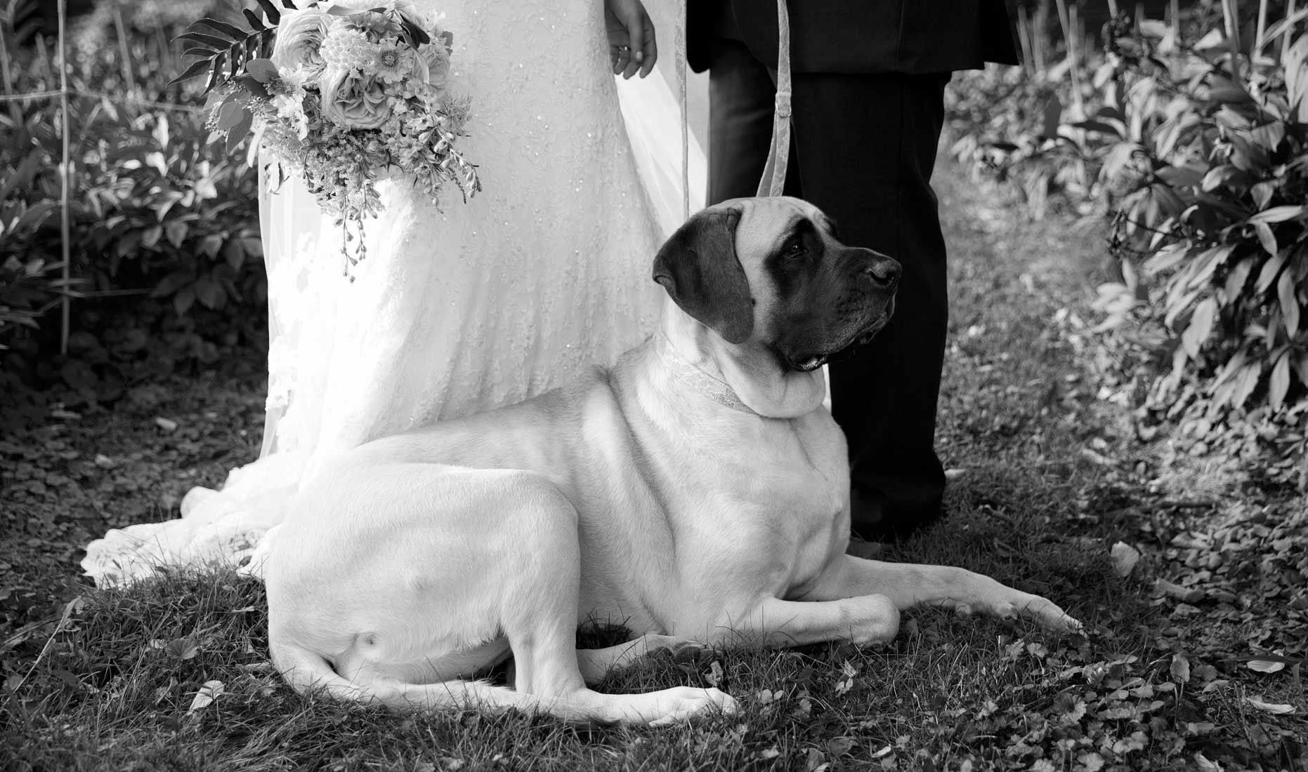 Beautiful, Unscripted, timeless, luxury Hudson Valley Wedding Photography